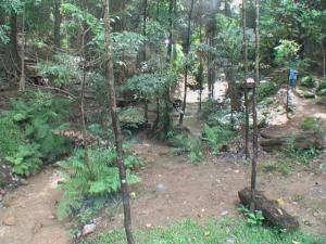 Nord Thailand Lonops Paradise